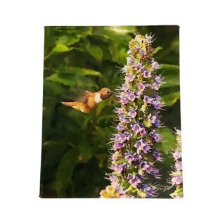Art Prints Springtime Nectar Hummingbird Photo Strokes 8x10 Wall Mounted Canvas
